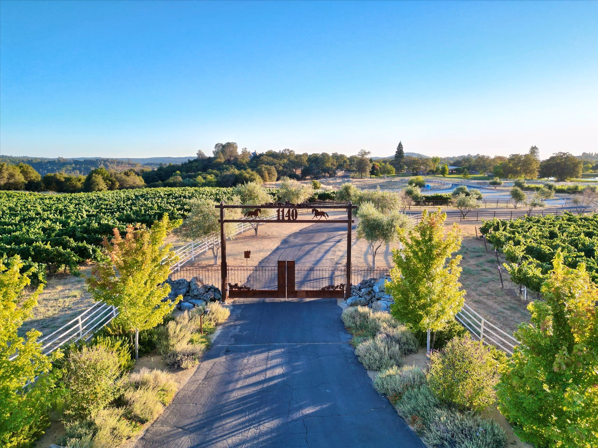 The gated entrance to Saureel Vineyards from the air, with the drive running between planted vineyard blocks and white fencing.
